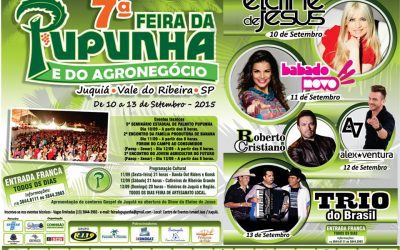 7ª Feira da Pupunha e do Agronegócio